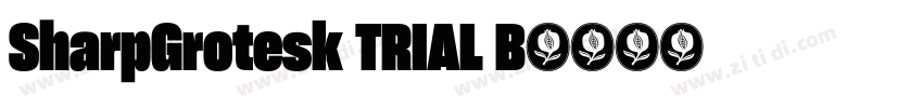 SharpGrotesk TRIAL B字体转换 SharpGrotesk TRIAL B字体转换